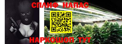крисы Дубна