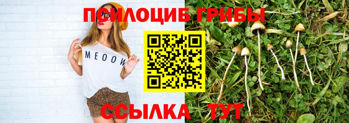 Ленинск-Кузнецкий  Псилоцибиновые грибы Cubensis  Галлюциногенные грибы мицелий  Вход с VPN 