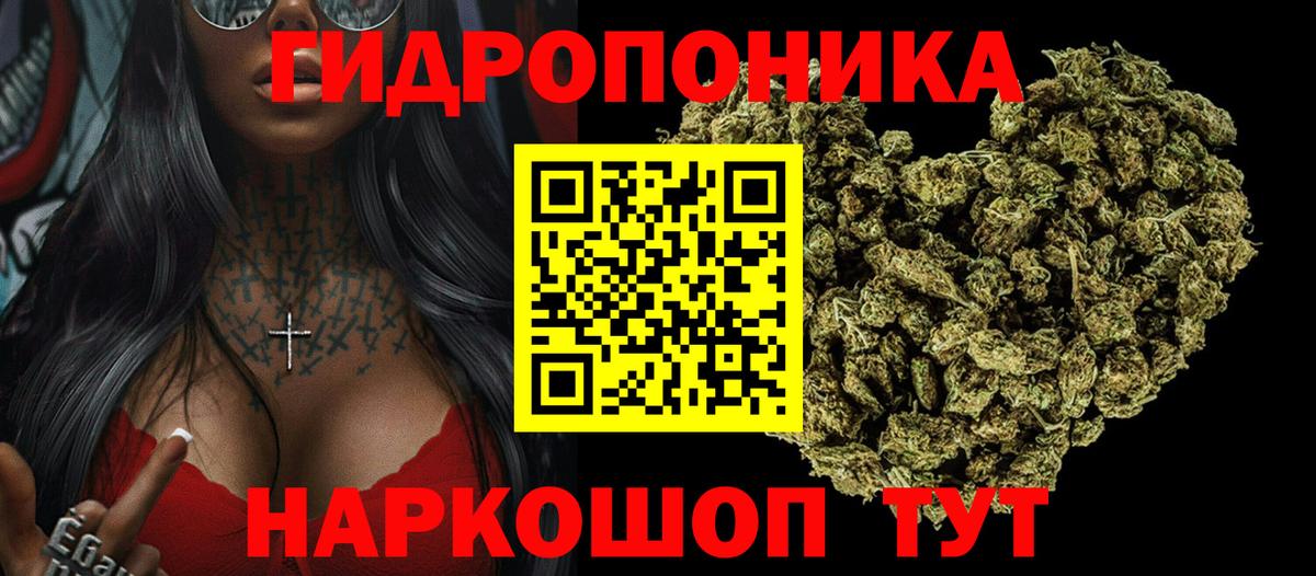 Шишки марихуана тримм Ленинск-Кузнецкий